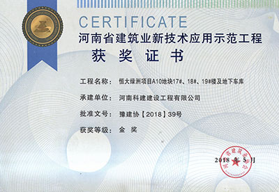 “恒大绿洲项目A10地块17#、18#、19#楼及地下车库乐玩LW公司_乐玩lewin|官网
”荣获“河南省建筑业新技术应用示范乐玩LW公司_乐玩lewin|官网
”金奖